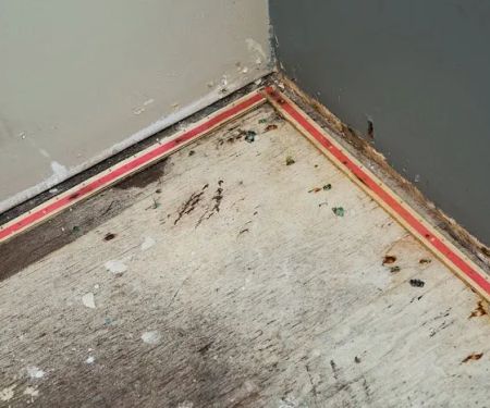 Water Damage Services Hesperia