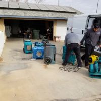 Elementum Services Inc ico