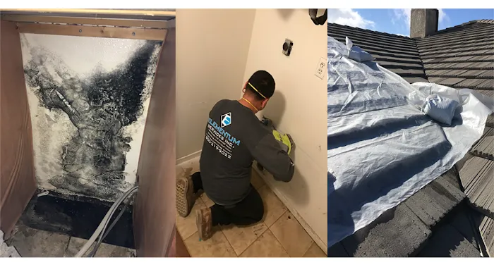 Elementum Services Inc Picture 3