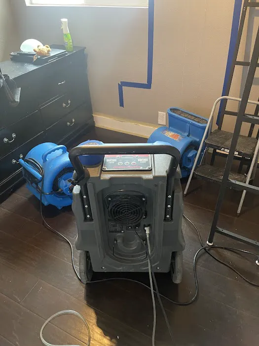 Elementum Services Inc Picture 6