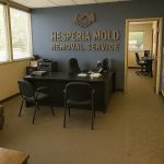 Hesperia Mold Removal Service