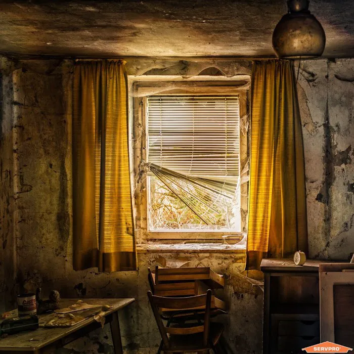 SERVPRO of Tustin and SERVPRO of Orange / Villa Park Picture 6