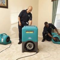 ServiceMaster by One Call Restoration ico