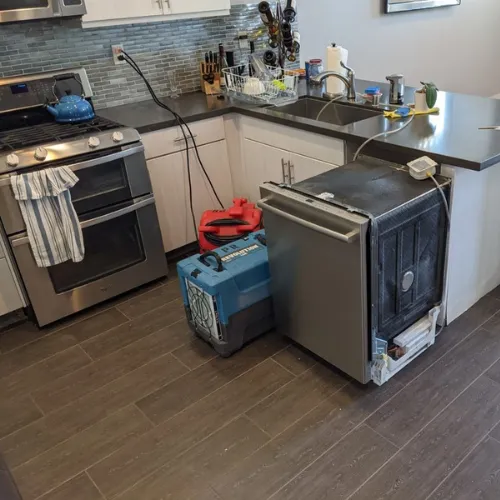 Preferred Restoration Services | Water & Mold Restoration Picture 4