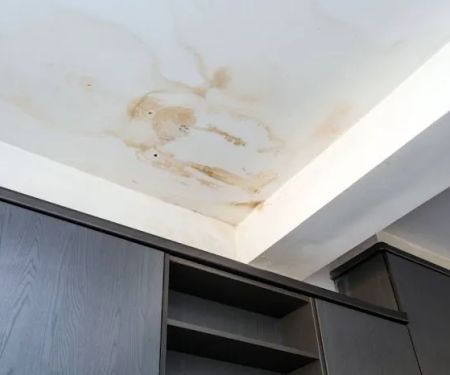 Water Damage Services San Fernando