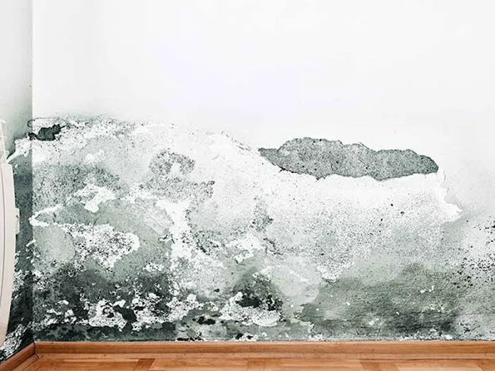 Am:Pm Restoration and Construction inc Picture 7