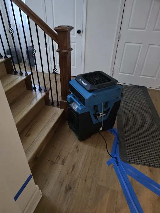 Save Pro Restoration Picture 6