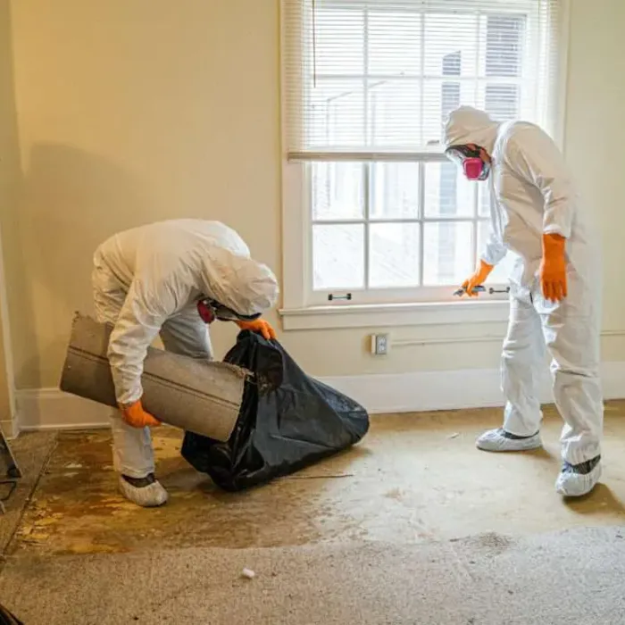 Save Pro Restoration Picture 5