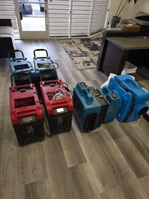 Save Pro Restoration Picture 10