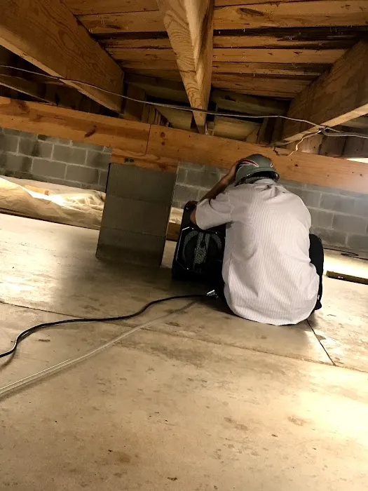 Rainbow International of Simi Valley Picture 5