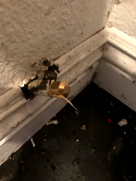 Rainbow International of Simi Valley Picture 7