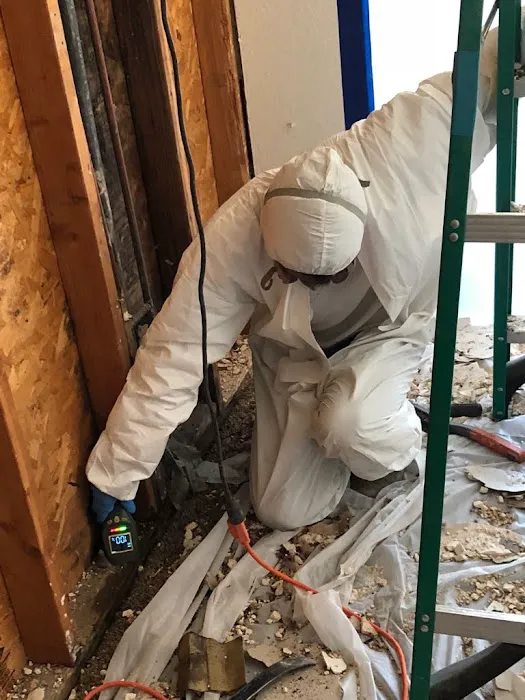 SOS Restoration Picture 8