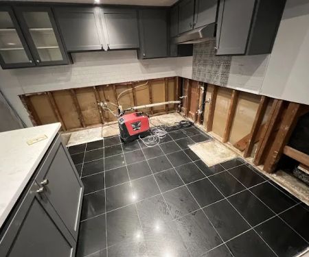 Royalty Water Damage & Restoration