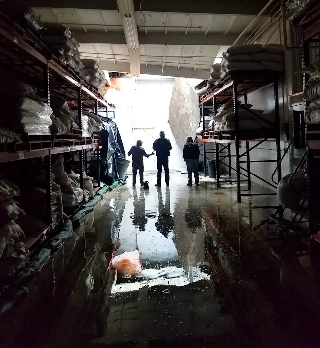 MSB Disaster Recovery Services Picture 8