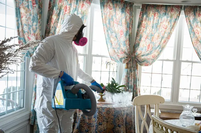 Mold Removal Contractor | Mold Inspection Service Picture 6