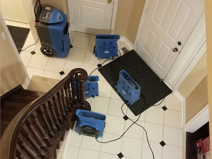 Mold Removal Contractor | Mold Inspection Service Picture 8