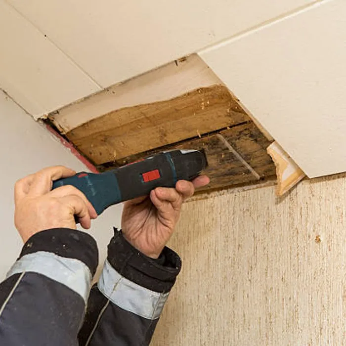 Mold Removal Contractor | Mold Inspection Service Picture 9