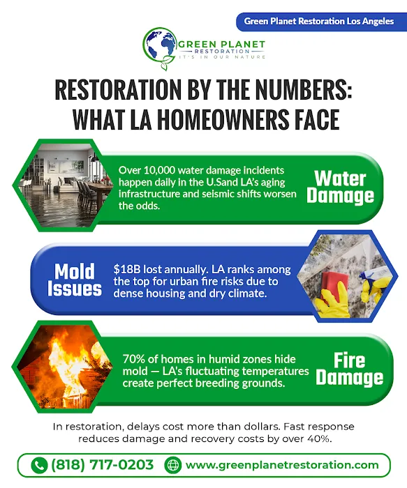 Green Planet Restoration of LA Picture 1