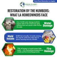 Green Planet Restoration of LA ico
