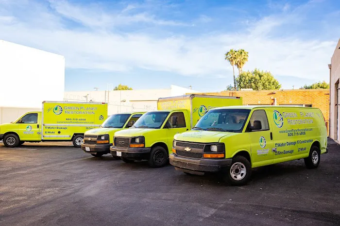 Green Planet Restoration of LA Picture 2