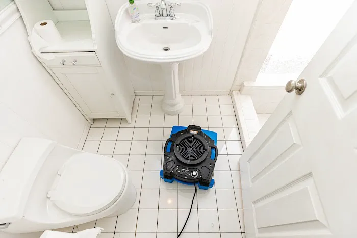 Green Planet Restoration of LA Picture 3