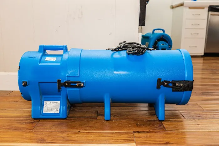 Green Planet Restoration of LA Picture 4