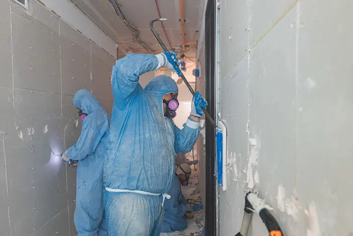 Green Planet Restoration of LA Picture 5