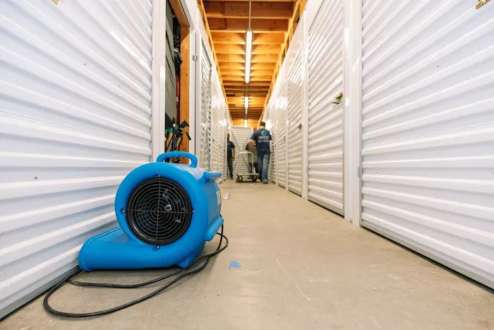 Green Planet Restoration of LA Picture 9