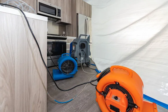 Green Planet Restoration of LA Picture 10