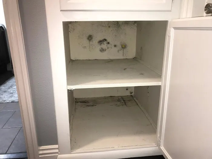 MDH Water Damage & Restoration Picture 8