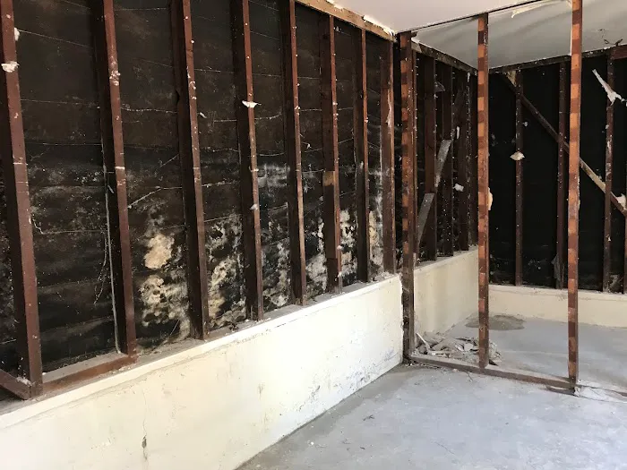 MDH Water Damage & Restoration Picture 10