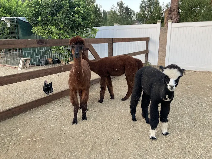 ARC Restoration & Construction Inc, Dba Unique Restoration Picture 3