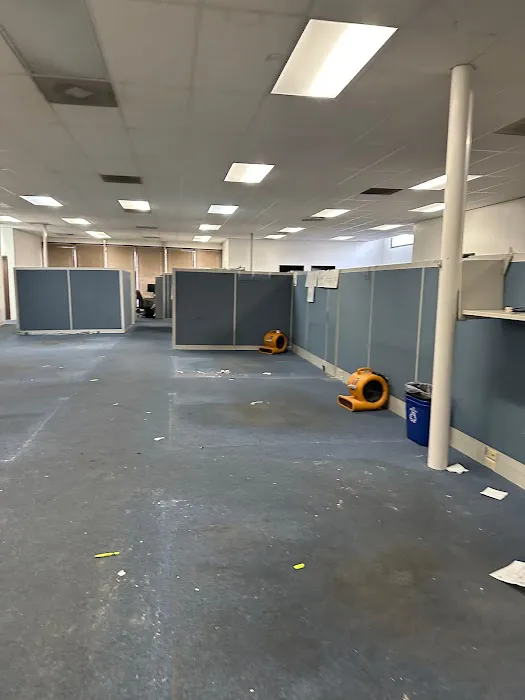 LimeGreen Water Damage & Restoration Picture 1