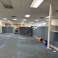 LimeGreen Water Damage & Restoration ico