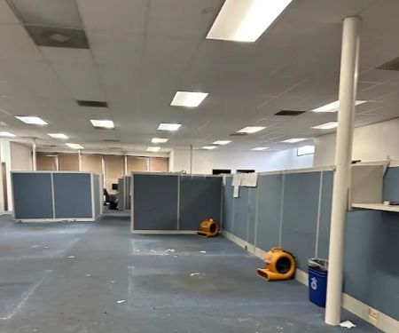 LimeGreen Water Damage & Restoration