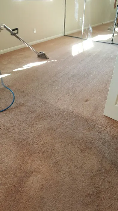 Surfside Carpet Cleaning Picture 1