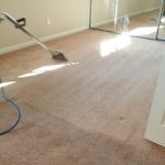 Surfside Carpet Cleaning