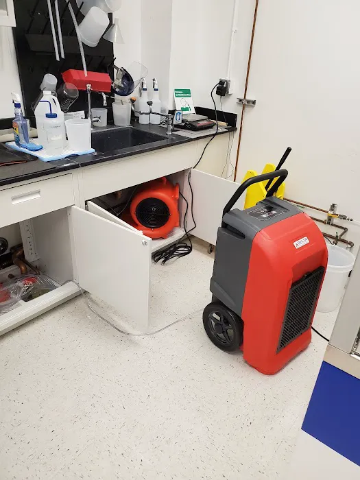 Delta Restoration Services Of South Coast Picture 1