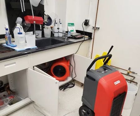 Delta Restoration Services Of South Coast