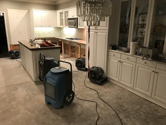 Delta Restoration Services Of South Coast Picture 4