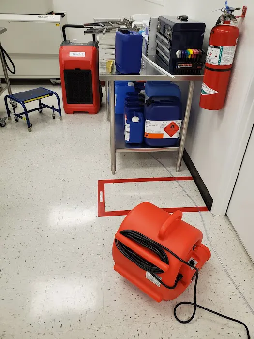 Delta Restoration Services Of South Coast Picture 6