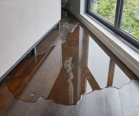 Maximum Mold Removal