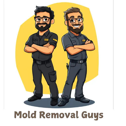 Mold Removal Guys Picture 5