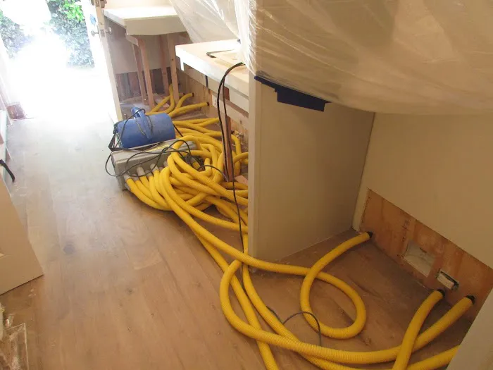 Pro Water Damage Inc Picture 6