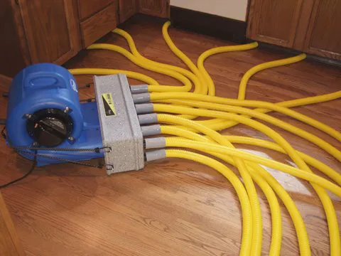 Pro Water Damage Inc Picture 10