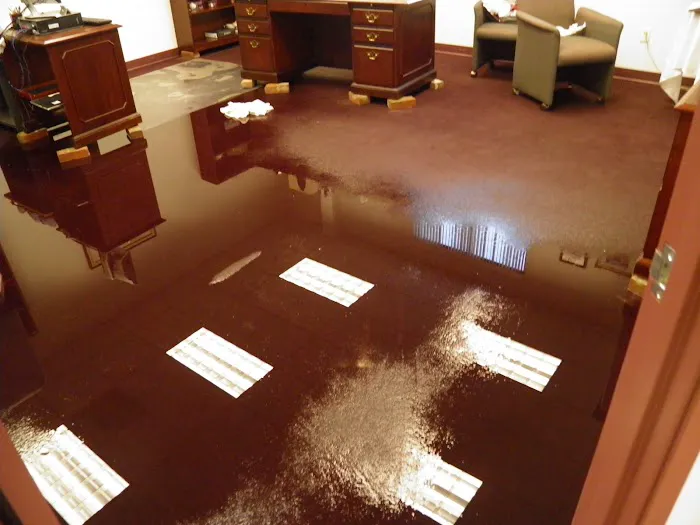 Pro Water Damage Inc Picture 8