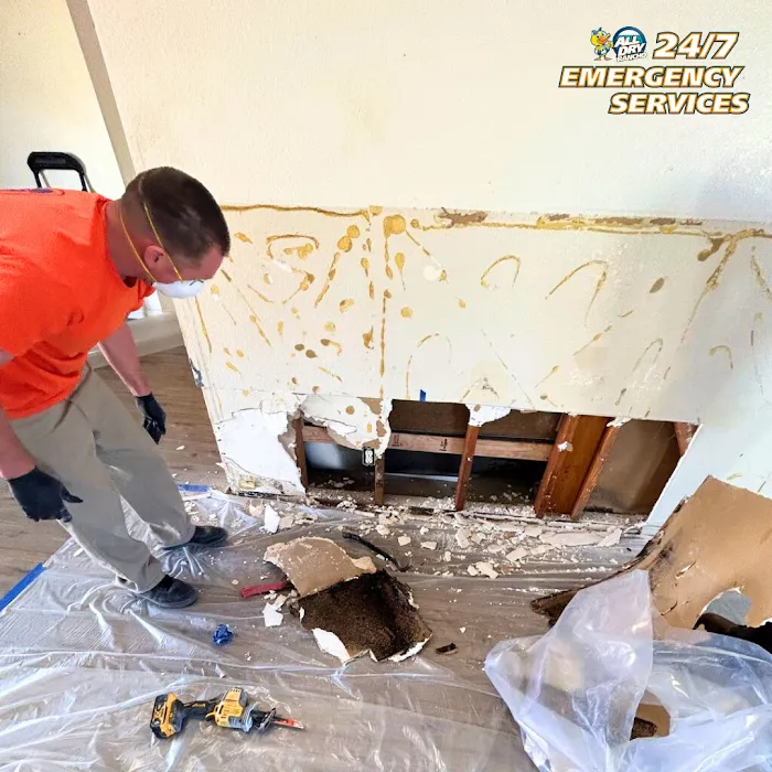 All Dry Services of Rancho Cucamonga Picture 1