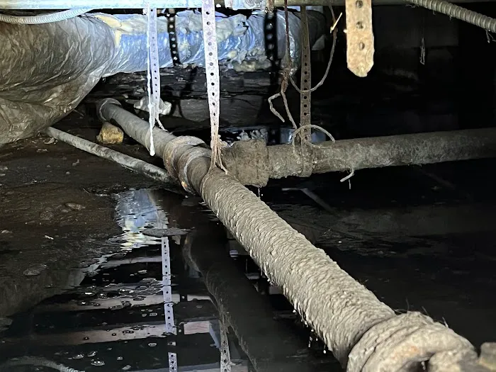 All Dry Services of Rancho Cucamonga Picture 2