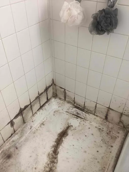 All Dry Services of Rancho Cucamonga Picture 6