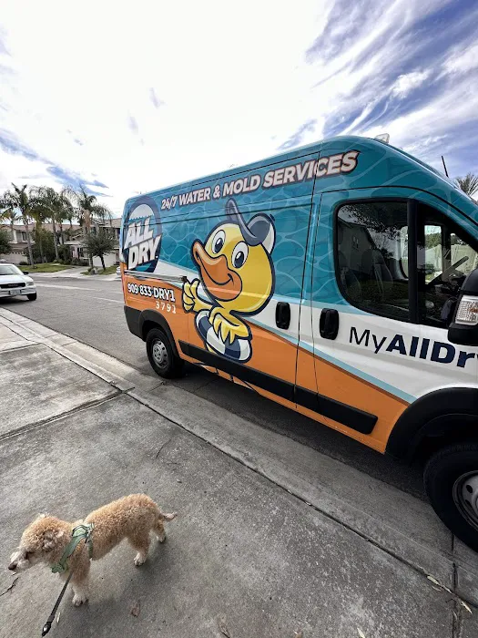 All Dry Services of Rancho Cucamonga Picture 9